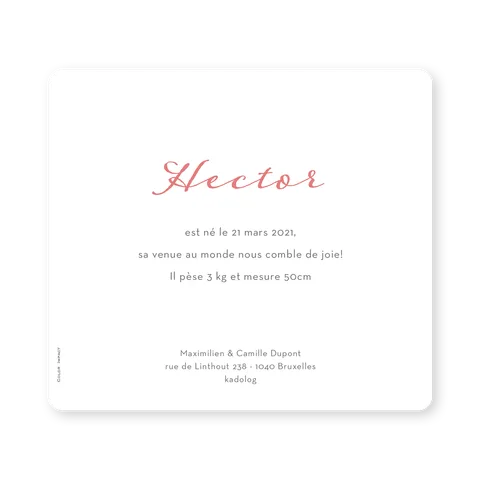 Hector