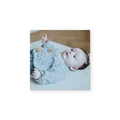 Petit Basile