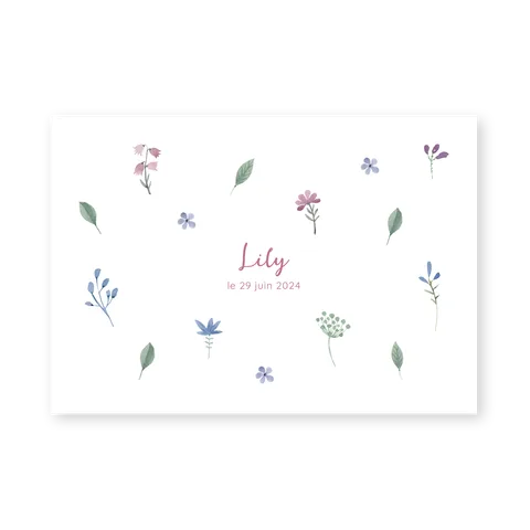 Lily