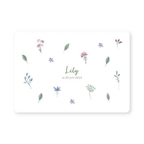 Lily