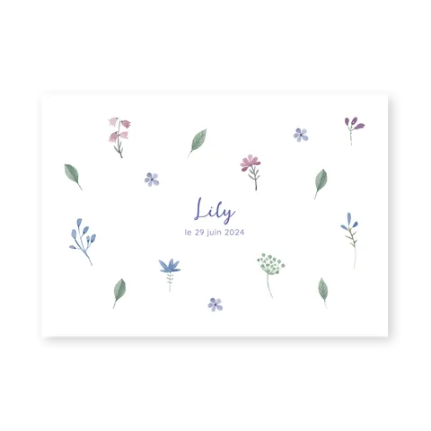 Lily