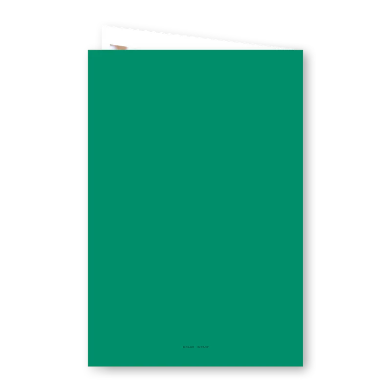 verso