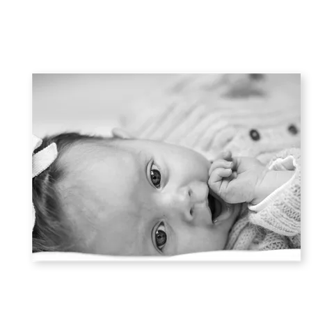 Ourson